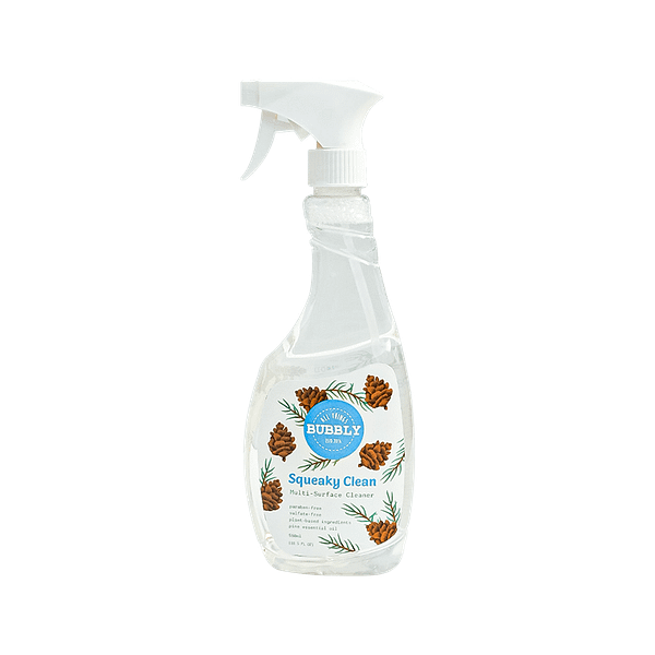 0000 Squeaky Clean 550ml